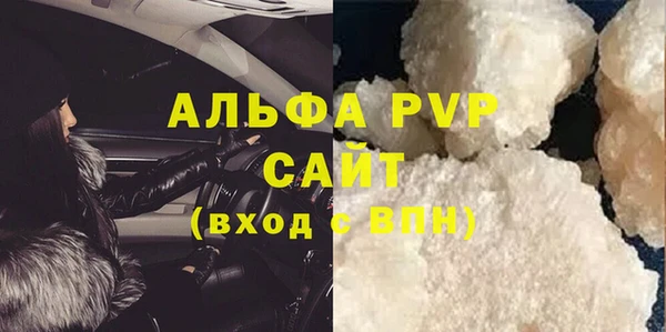 индика Пестово