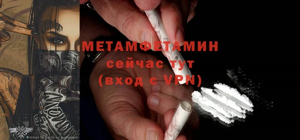 индика Пестово