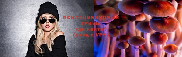индика Пестово