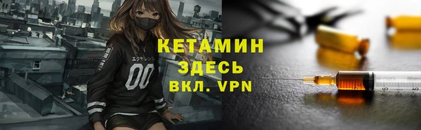 индика Пестово