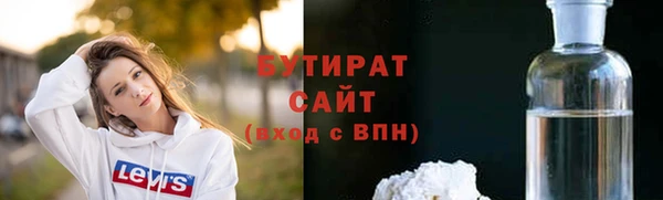 индика Пестово