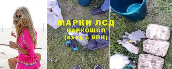 индика Пестово