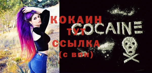 индика Пестово