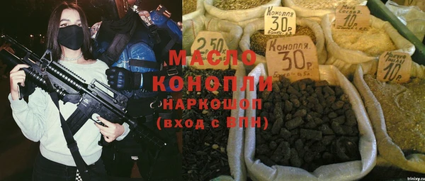 индика Пестово