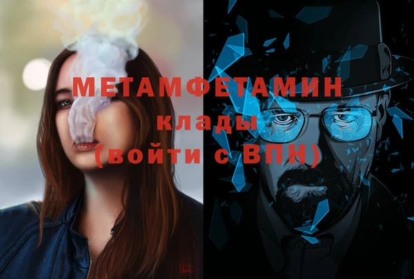 индика Пестово