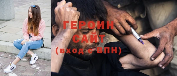 индика Пестово
