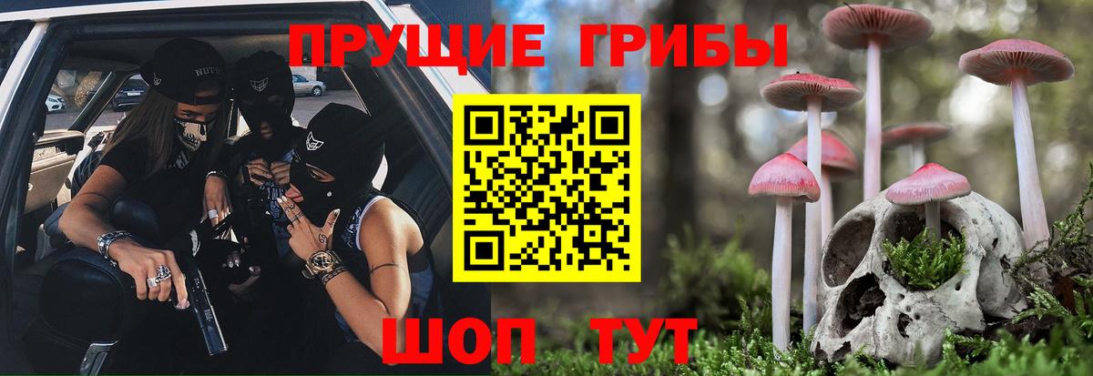 купить наркотики цена  Семилуки  Псилоцибиновые грибы ЛСД 