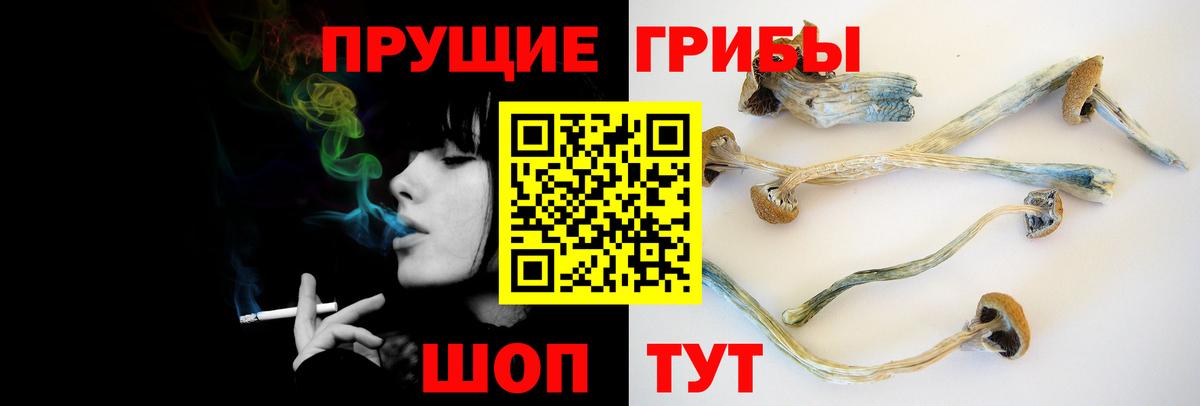 Псилоцибиновые грибы Psilocybine cubensis  Вход с VPN  Семилуки  Псилоцибиновые грибы Cubensis 